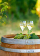 Tasty white wine on wooden barrel on grape plantation background
