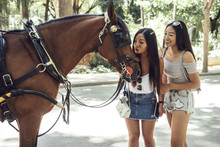 Chinese Girls Posing With Horse