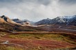 Fall color on the Alaska tundra with snowy mountains 