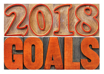 Canvas Print - 2018 goals banner in wood type