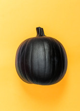 Halloweeen Theme With A Black Pumpkin On A Yellow Background