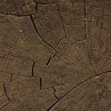 Fototapeta Las - 古い木目素材