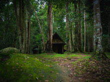 Old Wooden Hut In Rain Forest In Dramatic Fantasy Style.