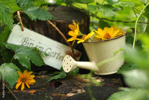 Kleine Giesskanne Mit Schild Bin Im Garten Und Helianthus