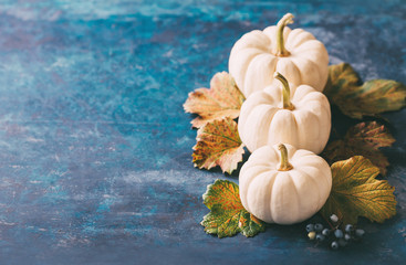Wall Mural - small decorative pumpkins on blue shabby background.