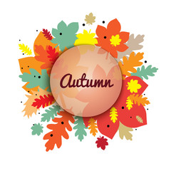Wall Mural - vector illustration of colorful autumn leaves arranged in circle.