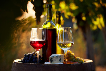 Two glasses of white and red wine with food at sunset