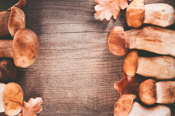 Fototapete - Ceps mushroom. Boletus closeup on wooden rustic table