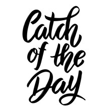 Catch Of The Day. Hand Drawn Lettering Phrase Isolated On White Background.