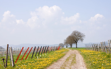 Poster - Frühling