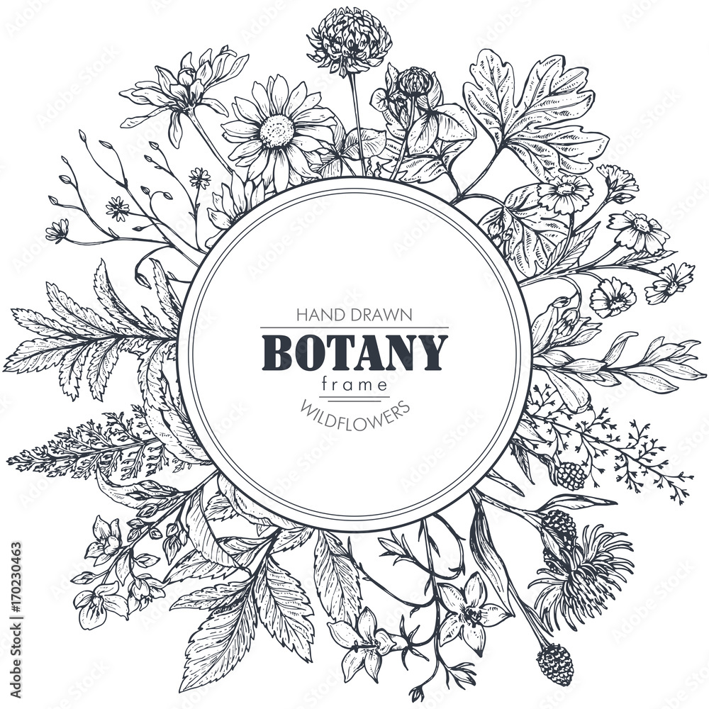 Vector circle frame with herb and wildflower elements - obrazy, fototapety, plakaty 