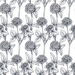 Wall Mural - Vector seamless pattern with hand drawn herbs and flowers