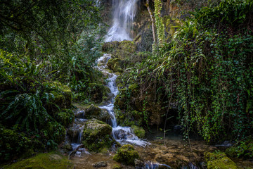 Waterfall in lush forrest