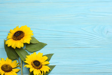 Sunflower On Blue Wooden Background. Top View With Copy Space