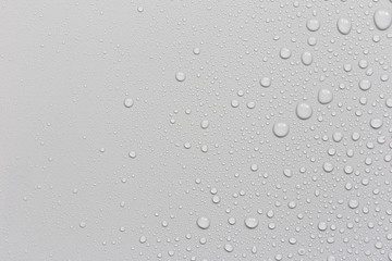 Poster - Water droplets on a gray background