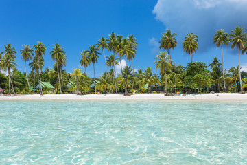 Canvas Print - Palm trees on beautiful tropical beach on Koh Kood island in Thailand