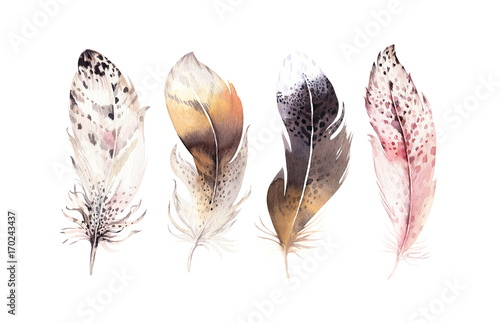 recznie-rysowane-akwarele-wibrujacy-zestaw-pioro-skrzydla-w-stylu-boho-ilu