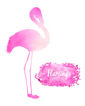 Watercolor Pink Flamingo Silhouette Illustration, Hand Painted Isolated On A White Background