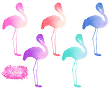 Set, Collection Of Watercolor Flamingo Silhouettes Illustration, Hand Painted Isolated On A White Background
