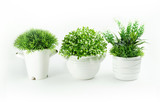 Set of artificial green houseplants in white pots isolated on white background. Artificial grass in indoor pots of various shapes.
