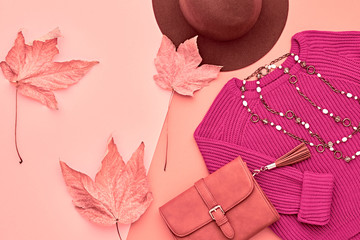 Autumn Arrives. Fashion Lady Clothes Set. Trendy Cozy Knit Pink Jumper. Fashion Stylish Handbag Clutch, Vintage Hat. Fall Leaves.Vanilla Pastel colors.