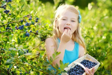 Cute little girl picking fresh berries on organic blueberry farm on warm and sunny summer day