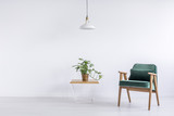 Fototapeta Przestrzenne - Room with green vintage armchair