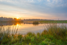 Shore Of A Pond At Sunrise In Summer