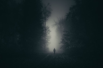 Wall Mural - man shadow on dark scary forest path, mystery landscape