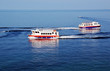 two sea buses and sea water