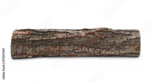oak stump, log fire wood isolated on white background with clipping path Poster Mural XXL