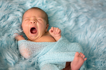 Canvas Print - Happy smiling newborn baby in wrap, sleeping happily in cozy fur