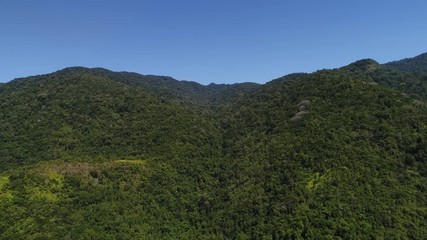 Canvas Print - Flying Over Mountains and Forest