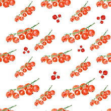 Red Currant On White Background. Watercolor Hand Made. Seamless Colorful Pattern