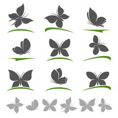 Wall Mural - Butterflies set. Vector