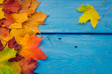 Autumn Background With Fall Leaves