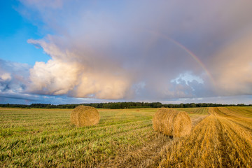 Wall Mural - finite field after harvest, rainbow over a field of straw bales