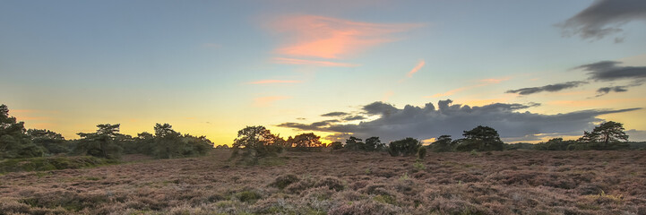 Canvas Print - Panorama of heathland landscape