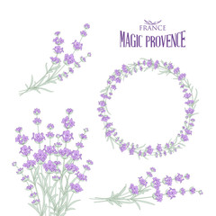 Wall Mural - Set of lavender flowers elements. Collection of lavender wreaths, bouquets and branches on a white background. Vector Botanical illustration bundle.