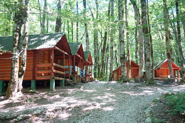wild cabins