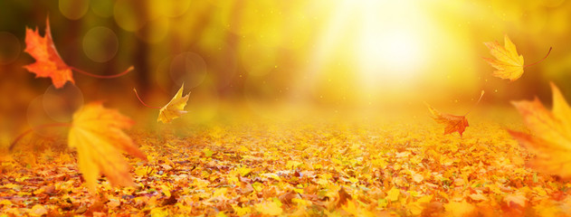 Abstract autumn background