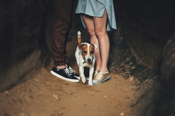 jack russell dog with owner and leather leash ready to go for a walk or walkies , outdoors outside at the park or river