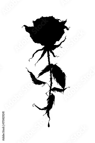 Beautiful Rose Silhouette It Can Be Used Like Tattoo Symbol Icon Mark Logo Black Rose On A White Background Stock Vector Adobe Stock