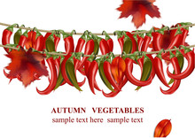 Autumn Vegetable Chili Peppers Realistic Background Vector Illustration