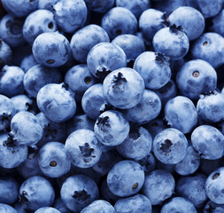 Poster - blueberries background