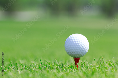 Zdjęcie XXL Piłka golfowa na trójniku w trawie