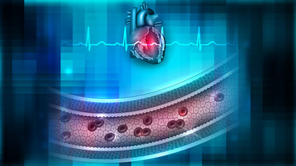 Poster - Vessel blood flow and heart anatomy abstract background, circulatory system health care concept