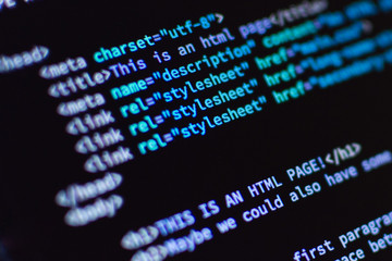 Wall Mural - software development. software source code. programming code. writing programming code on laptop.