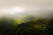 © robertobinetti70 - Beautiful panorama of Black River Gorges park and jungle around it, Mauritius.