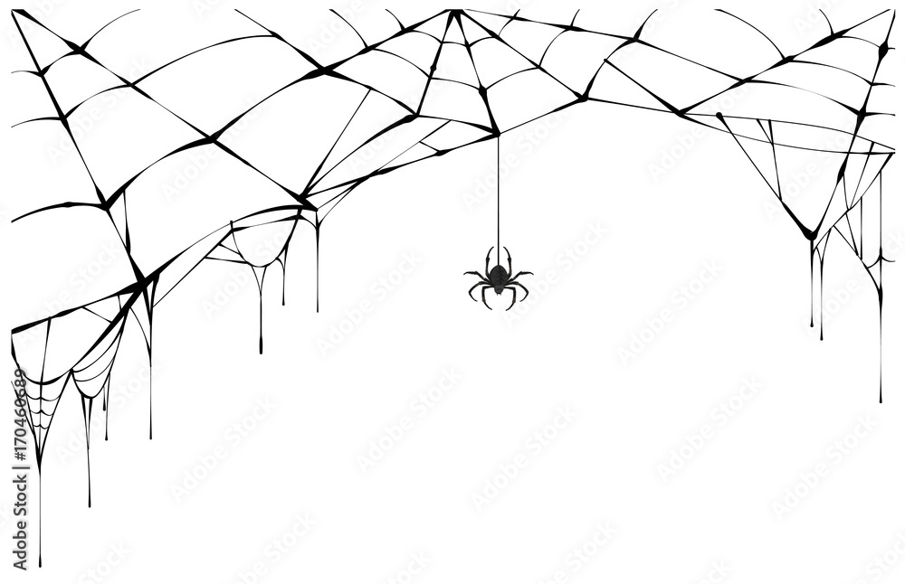 Black spider and torn web. Scary spiderweb of halloween symbol - obrazy, fototapety, plakaty 
